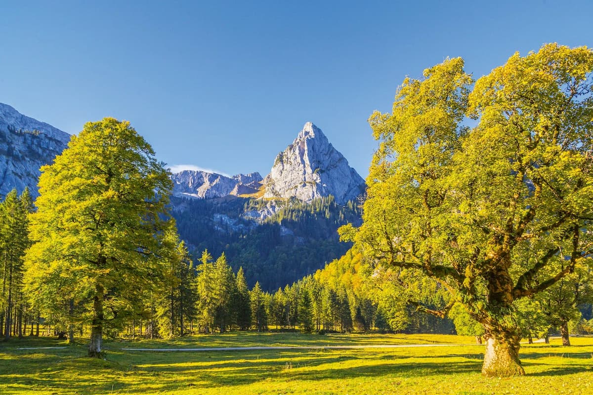 Ammergebirge