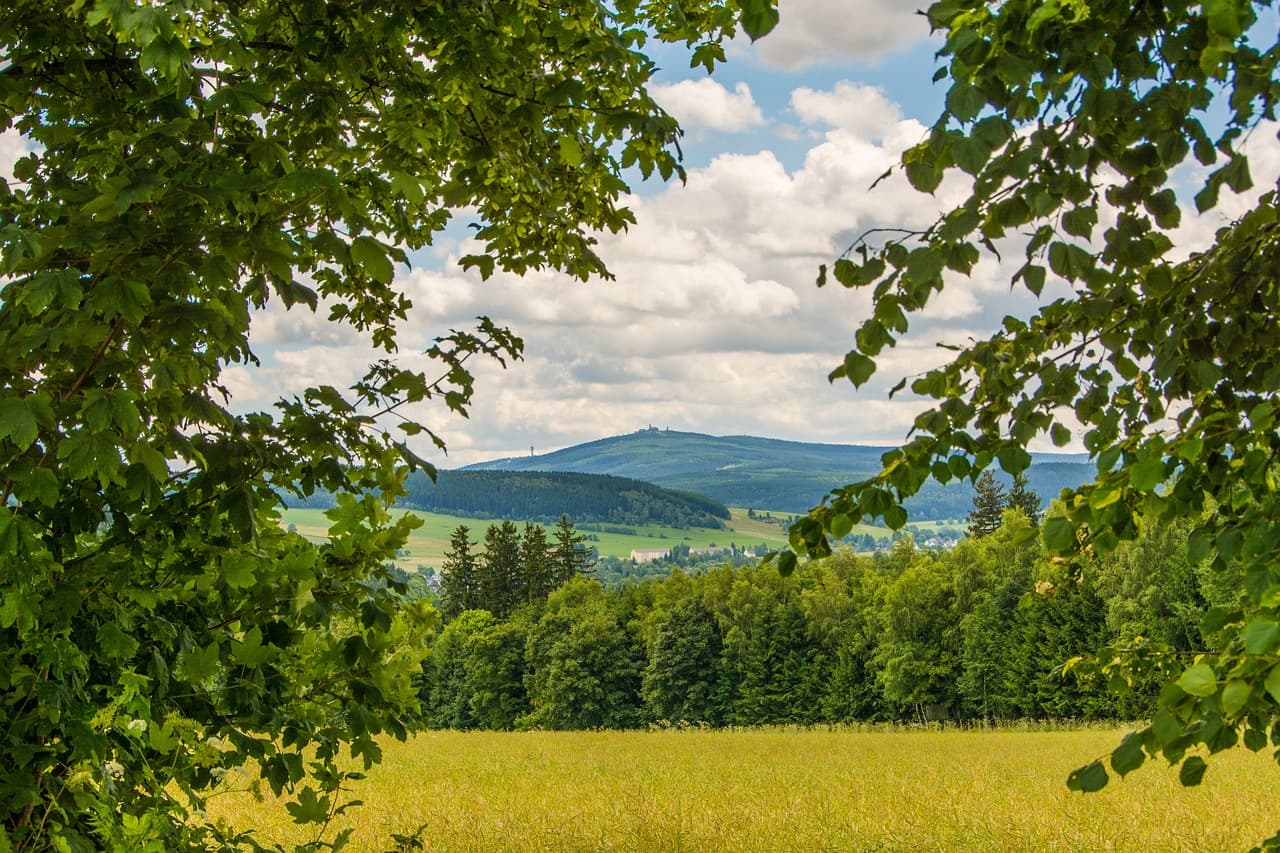Das Erzgebirge im Sommer