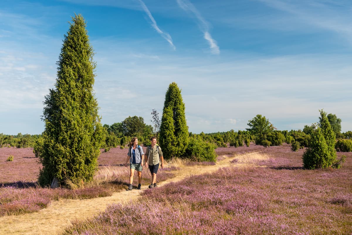 Lüneburger Heide, Lüneburg
