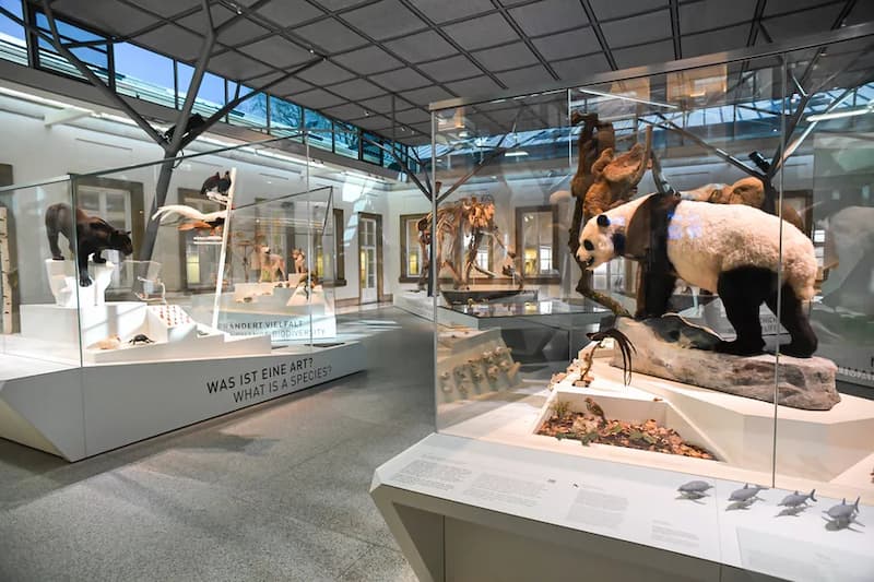 Museum für Naturkunde
