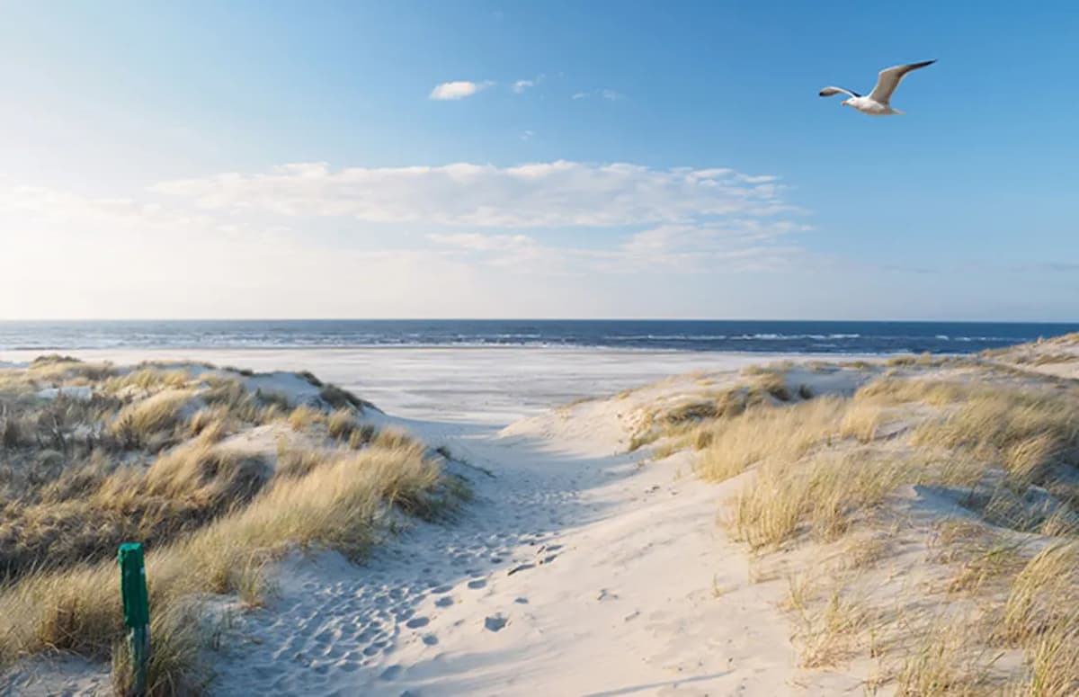 Nordsee 2