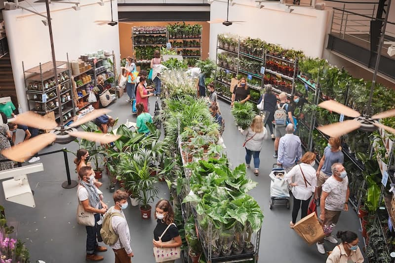 Pop-up Pflanzenverkauf im Greatlive