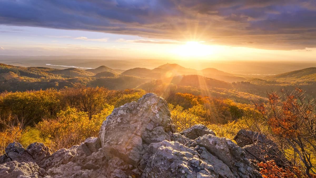 Sommer im Siebengebirge