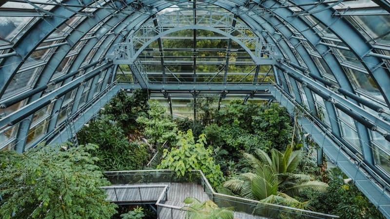 Tropische Gewächshäuser im Botanischen Garten