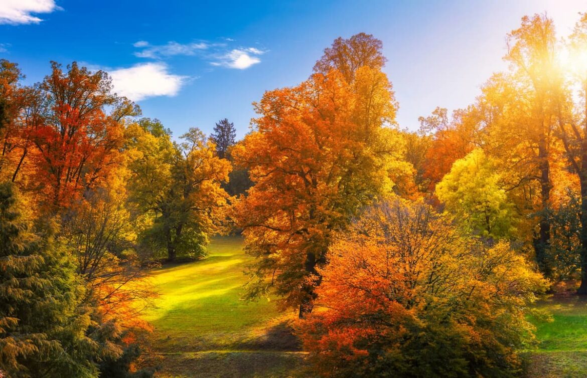 deutschland im herbst reiseziele